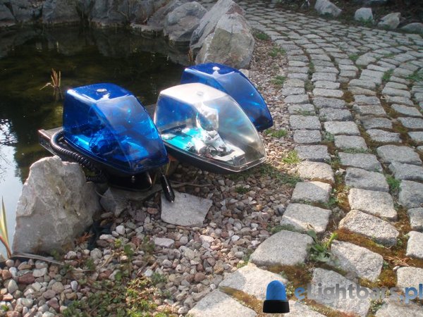 Chińska lampa Vector