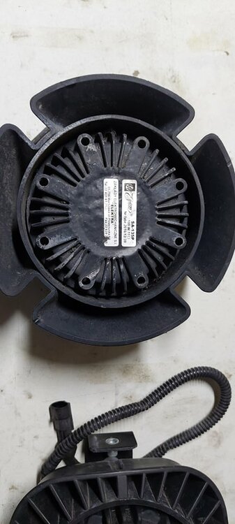 271840773_4716054998506962_7691441022325251420_n.jpg